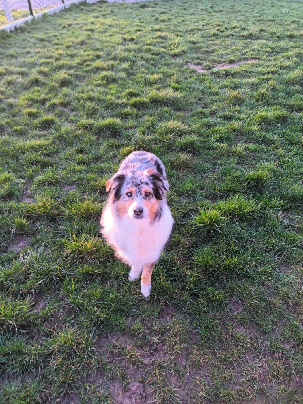 Tara King Du Château Des Myradors