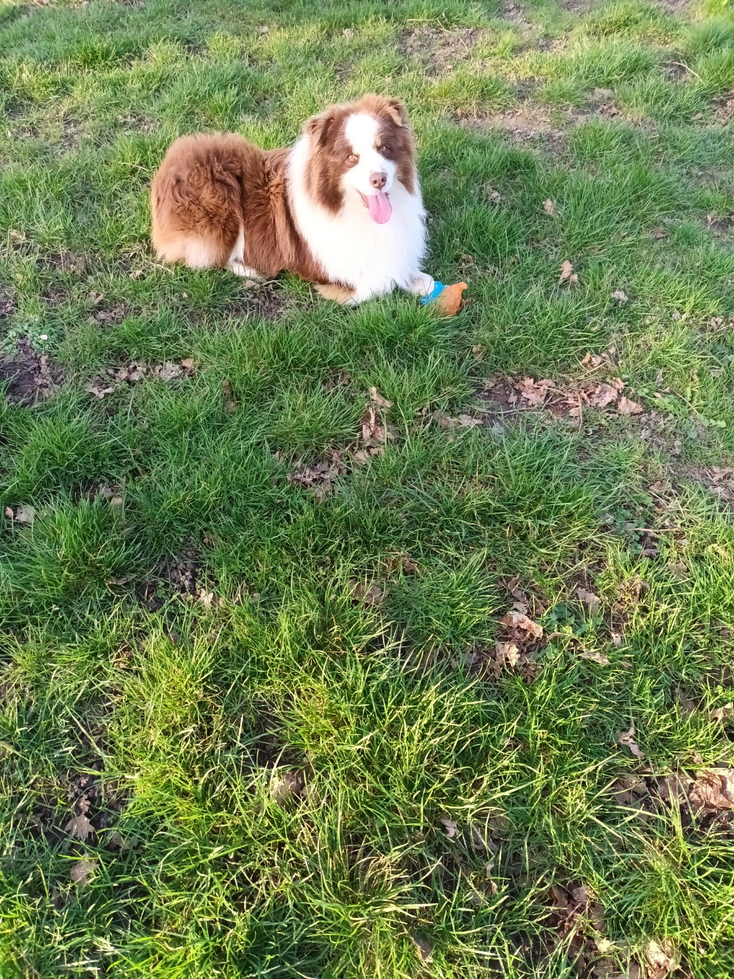 Vvesteros winterfell du chemin des korrigans Titre Initial